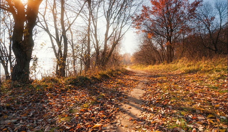 В Калужскую область пришла зима
