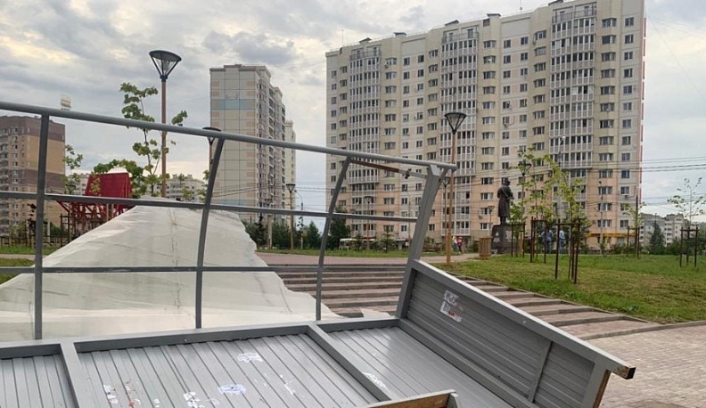 Из-за урагана в Калуге пострадали 2 женщины