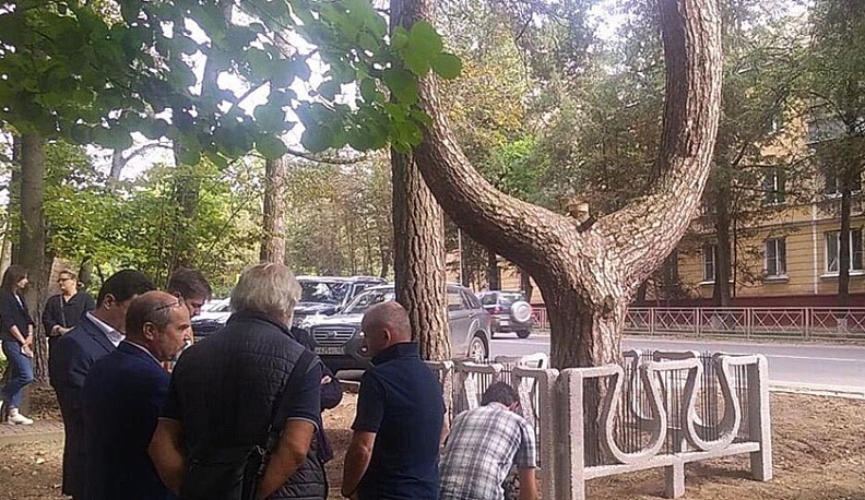Ограждение для обнинской сосны-лиры напечатали на 3D-принтере