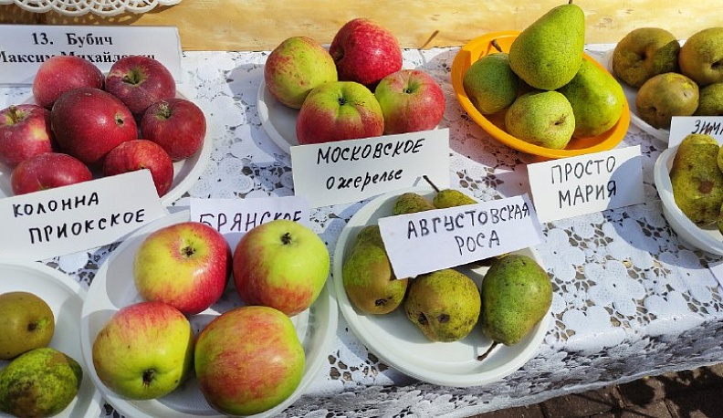 Огурец «Ухажор», «веерный» томат и арбуз в клеточку представили калужане на выставке урожайного сезона 