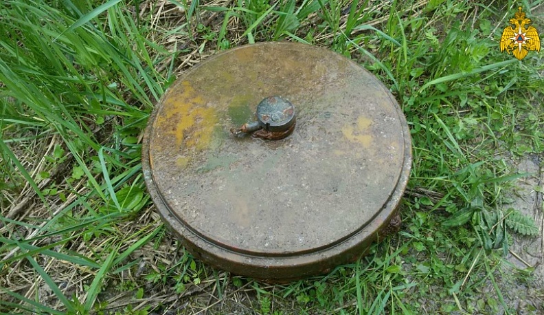 В Калужской области на обочинах дорог нашли гранаты и мину