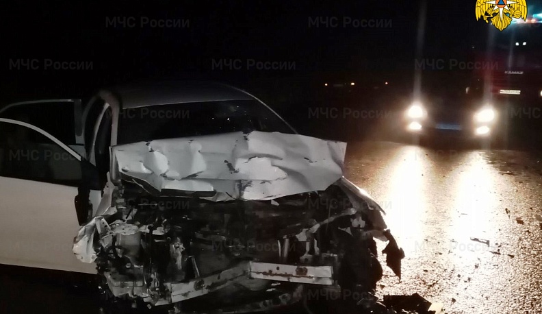 В ДТП легковушки и фуры под Калугой серьезно пострадали женщина и двое маленьких детей