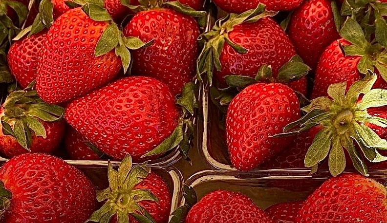 Калужская ярмарка выходного дня вошла в число лучших в России