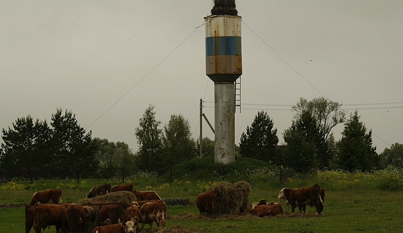 Сколько труда нужно рыбке из пруда?