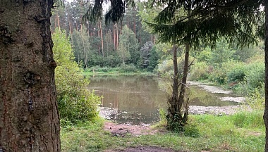 В Калужской области подходит к концу весенний сезон охоты