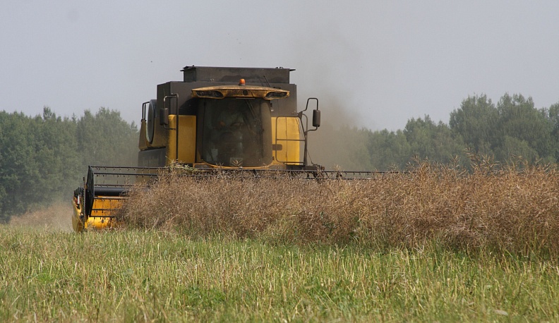 Калужская область получит более 82 млн на выращивание рапса