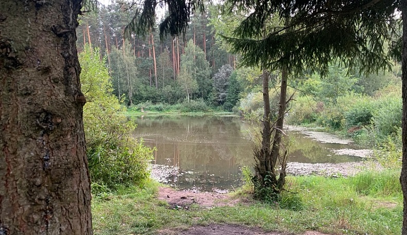 В Калужской области подходит к концу весенний сезон охоты