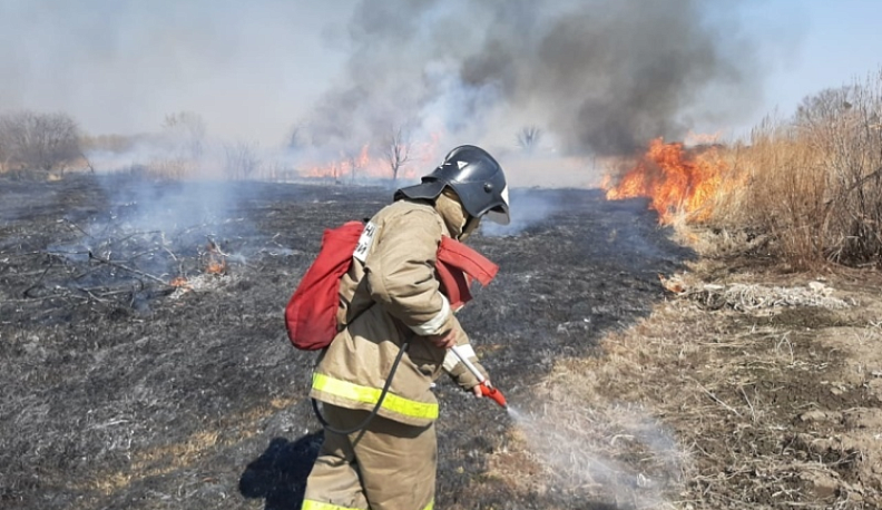 За день в Калужской области произошло 10 природных пожаров