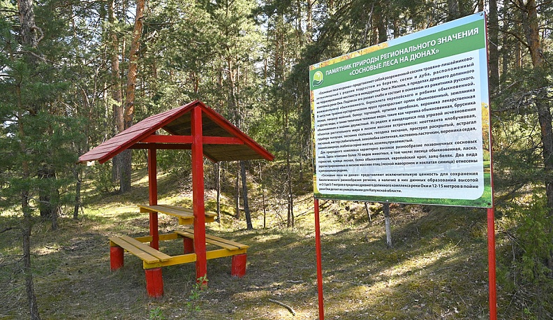 Лес горяч  и горюч