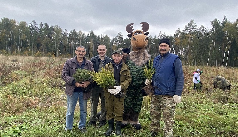 В Калужской области высадили около трех тысяч молодых елей
