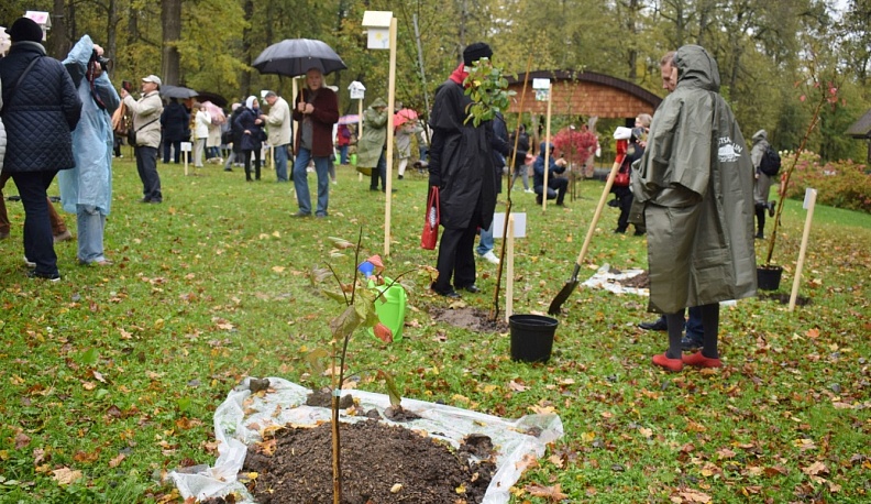 В Тарусе высадили «Сад забытых фруктов»
