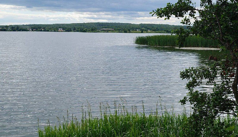 В Калужской области мужчина отправится под суд за вылов ста карасей