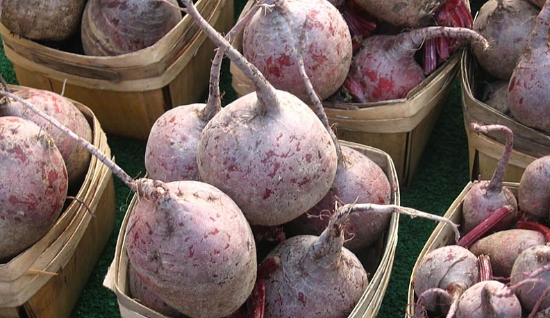 В Калужской области подешевела свекла