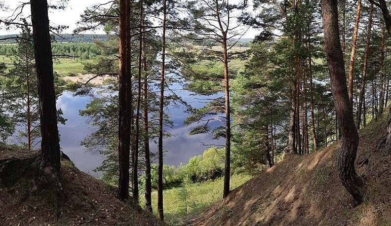 В Калужской области готовятся обеспечивать безопасность населённых пунктов и лесов во время пожароопасного сезона