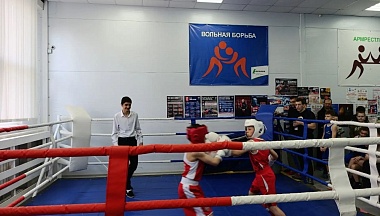 В Ферзикове сразились более 100 боксеров