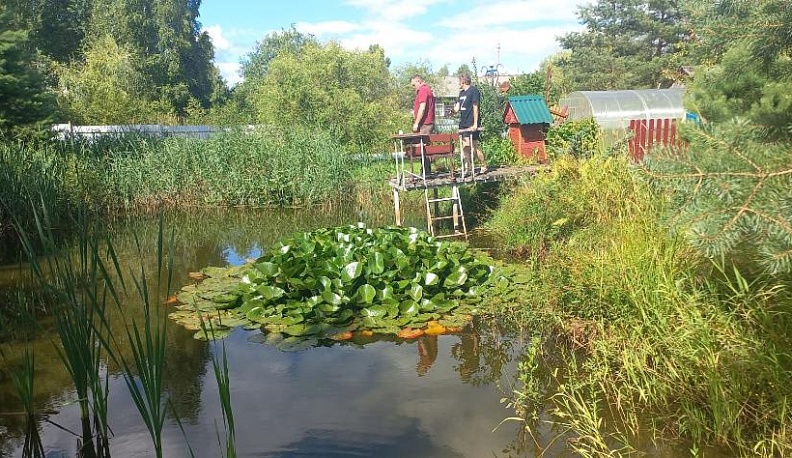 Здесь милой Отчизны околица