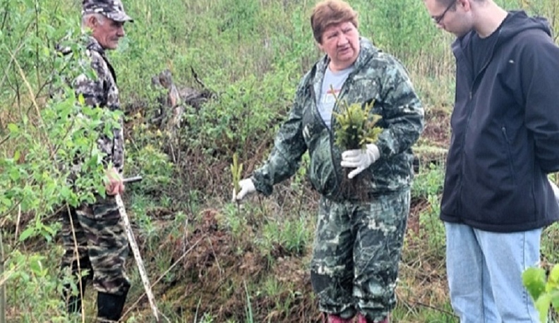В Спас-Деменском округе состоялась масштабная высадка деревьев