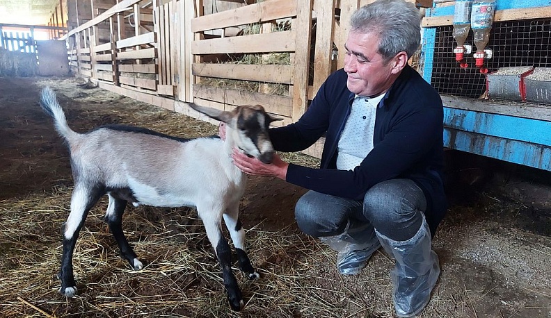 Идеи для людей