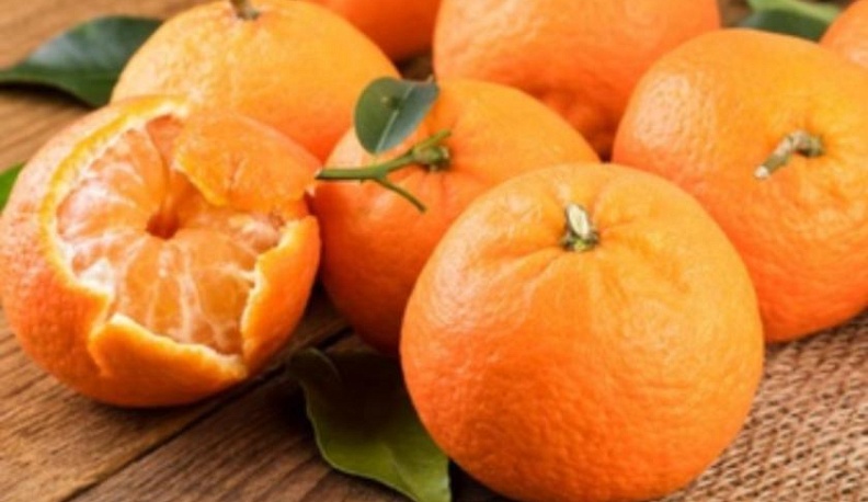 Калужская лаборатория обнаружила в турецких мандаринах личинки плодовой мухи