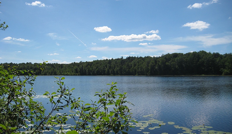 Людиновский район признан самым экологически чистым