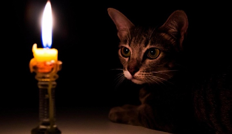 На центральных улицах Калуги отключат свет