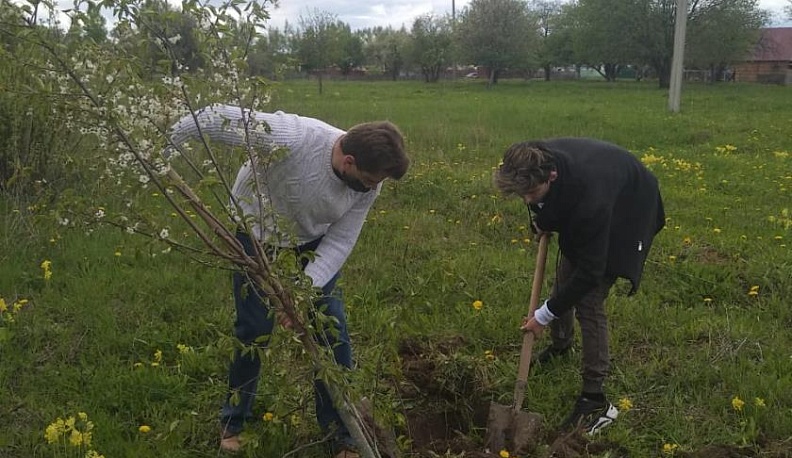 В селе Роща Тарусского района высадили фруктовый "Сад памяти"