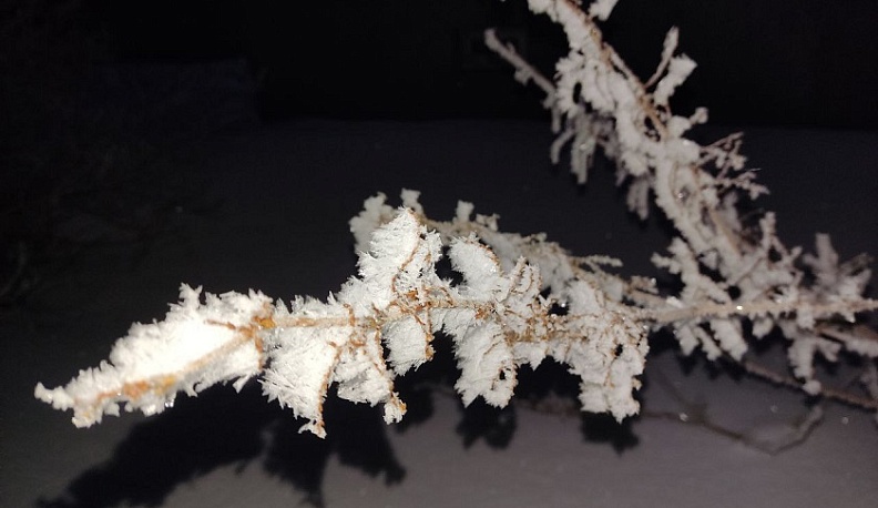 Вторник встретил калужан сильными морозами