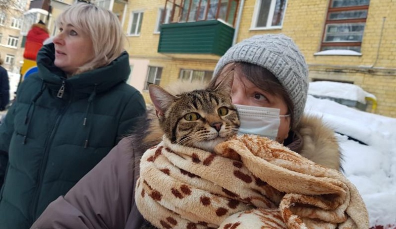 В Обнинске городские службы сняли с дерева замерзающего кота