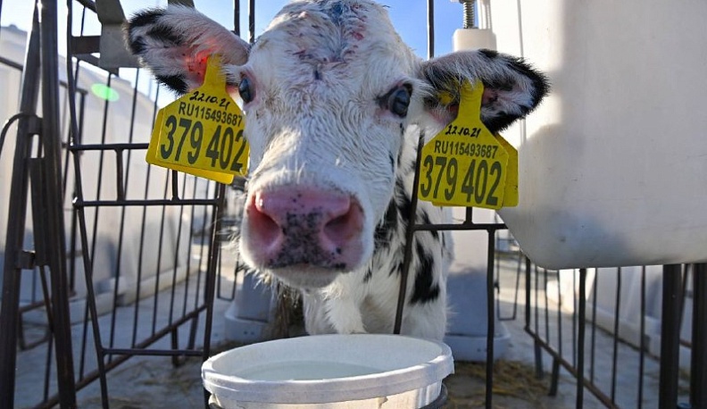 Калужские селекционеры укрепляют продовольственную безопасность России