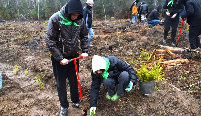 В Кирове высадили «Сад Памяти» из четырёх тысяч деревьев