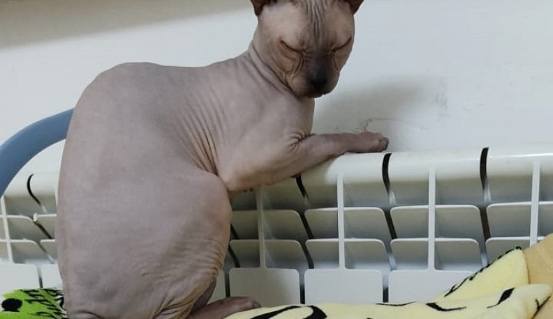 В Калуге опубликовали список остающихся без тепла домов