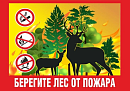 Более 240 млн рублей выделено на защиту Калужских лесов от пожаров в 2026 году