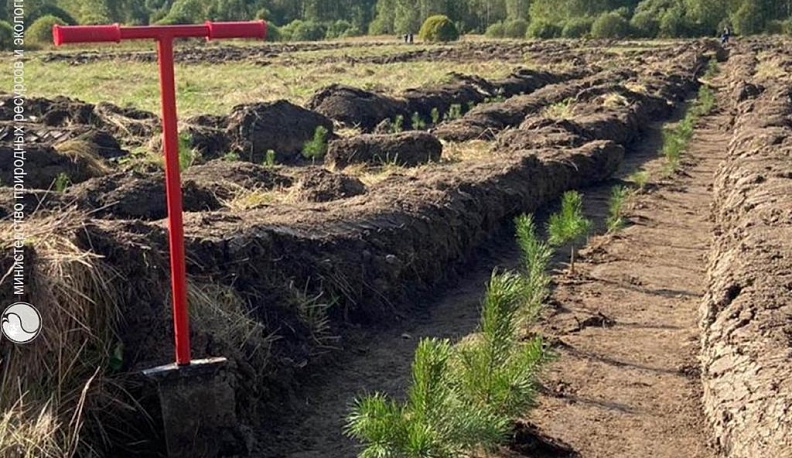 Калужская область вошла в ТОП-10 всероссийского экочелленджа