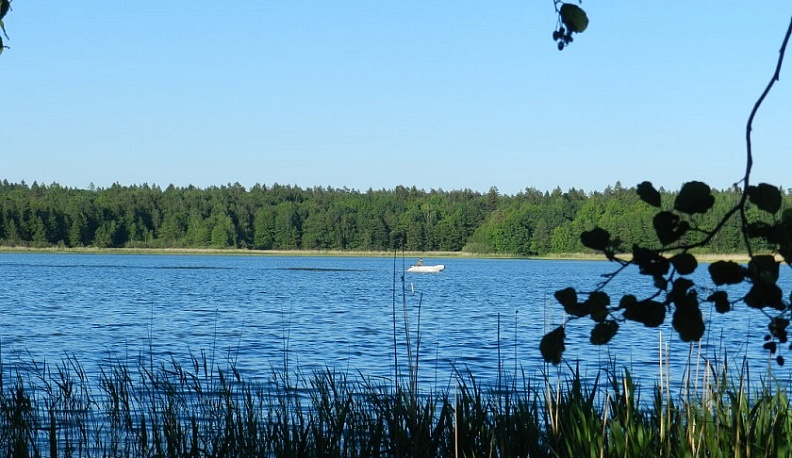 Состояние озера Ломпадь в Калужской области продолжат мониторить
