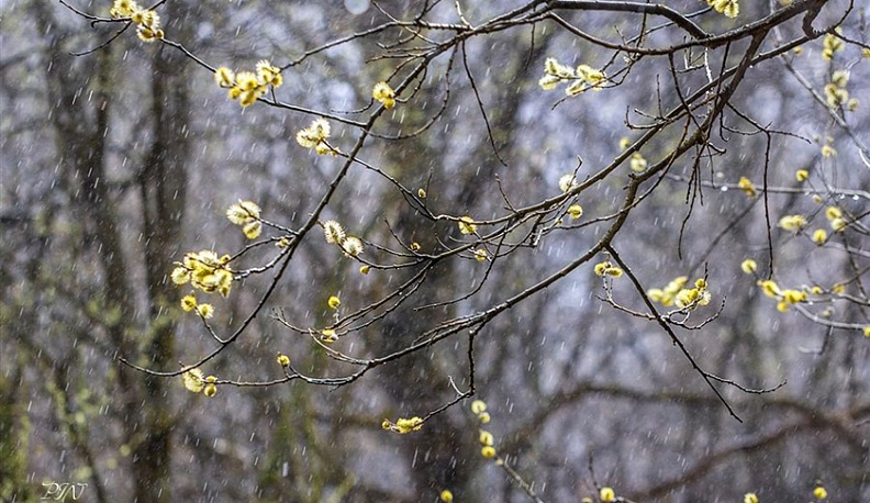 Среда в Калуге будет пасмурной и теплой