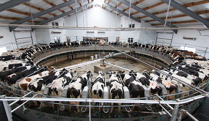 Эконива и Мираторг возглавляют рейтинг инвесторов пищепрома