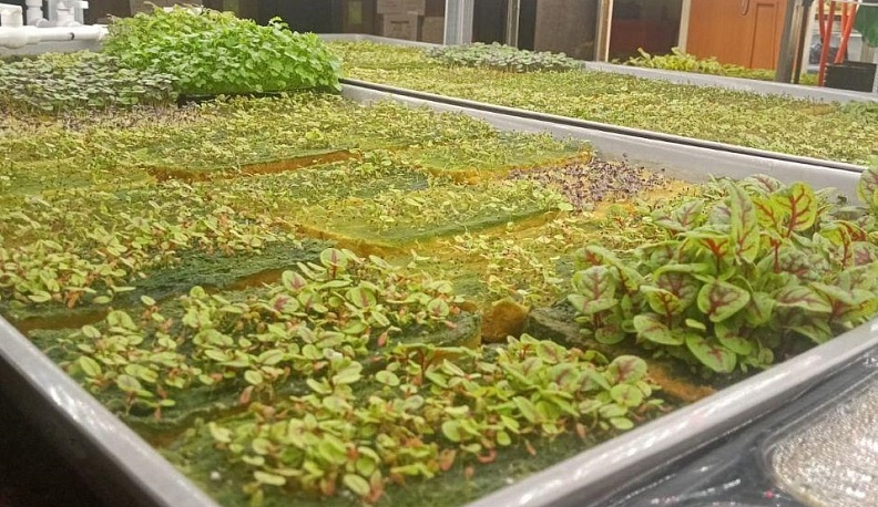 В Перемышльском округе набирают популярность соцконтракты