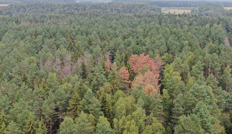 Эй вы там, наверху!