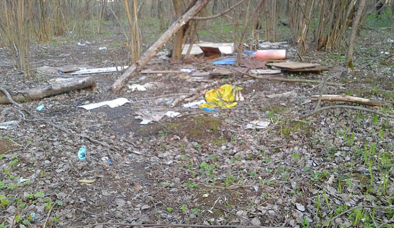 В калужском микрорайоне Северный растёт свалка 