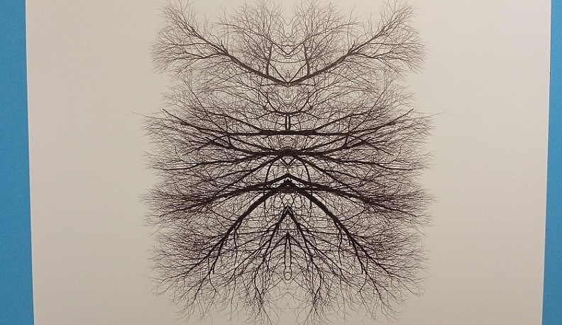 В Калужском музее изобразительных искусств открылась выставка «Молодые фотографы России»