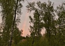 В Тарусе посчитают соловьёв