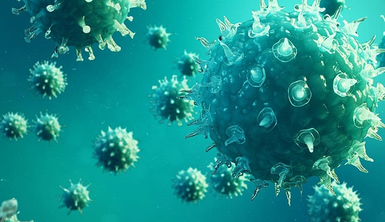 В Калужской области число погибших от коронавируса выросло