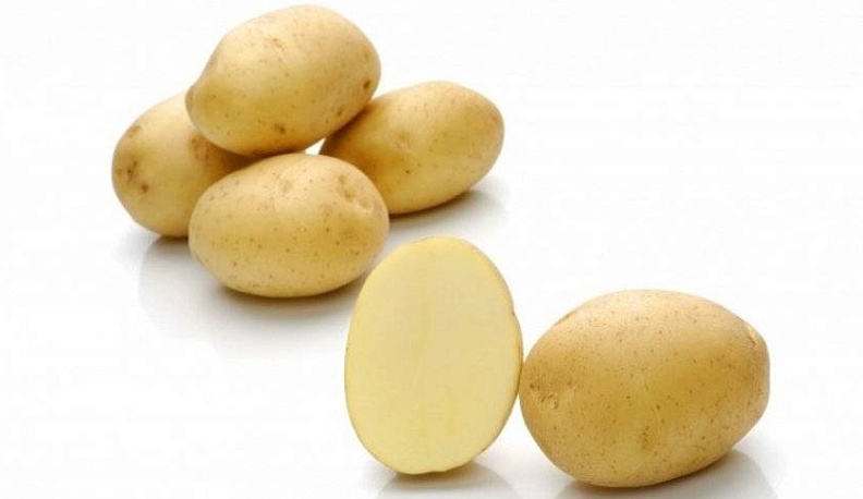 Жизнь для «Сказки» и «Удачи»