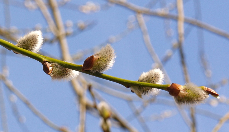 Сегодня в Калуге будет самый холодный на этой неделе день