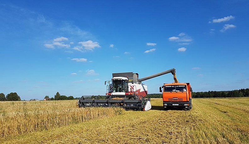 Сенатор поздравил работников сельского хозяйства и перерабатывающей промышленности региона с праздником