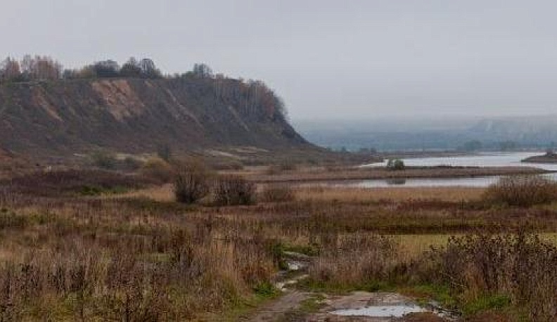 В селе Желохово обнаружили акваогород 