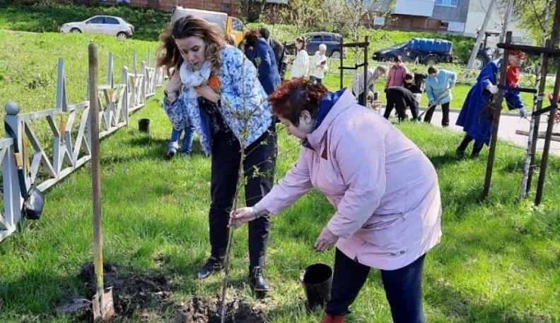В Калуге в сквере имени комбата Авдеева высадили Сад памяти