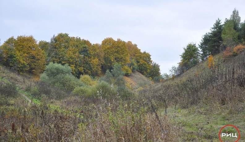 Боровчане – за Текижу!