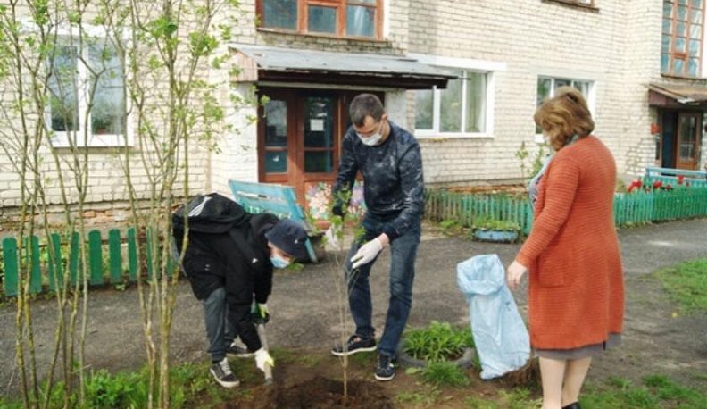 У домов ветеранов войны из Куйбышевского района высадили клумбы 