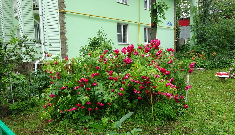 Есть из чего выбирать